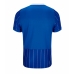 Echipament fotbal Brighton Tricou Acasa 2026-27 maneca scurta