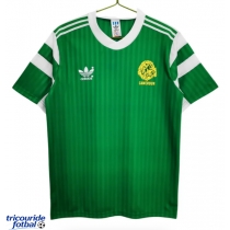 Echipament fotbal Cameroun 1990 Tricou Retro Acasa maneca scurta