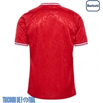 Echipament fotbal Danemarca Tricou Acasa European 2024 maneca scurta