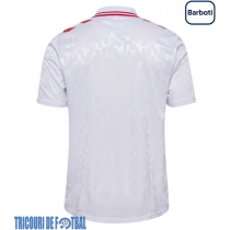 Echipament fotbal Danemarca Tricou Deplasare European 2024 maneca scurta
