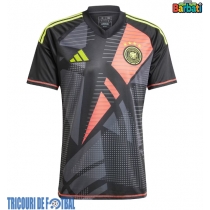 Echipament fotbal Germania Portar Tricou Acasa European 2024 maneca scurta