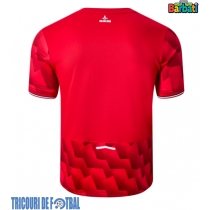 Echipament fotbal Lille OSC Tricou Acasa 2025-26 maneca scurta