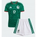 Echipament fotbal Mexic Orbelin Pineda #17 Tricou Acasa Mondial 2026 pentru copii maneca scurta (+ Pantaloni scurti)