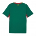 Echipament fotbal Senegal Tricou Deplasare Mondial 2026 maneca scurta