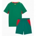Echipament fotbal Senegal Tricou Deplasare Mondial 2026 pentru copii maneca scurta (+ Pantaloni scurti)