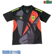Echipament fotbal Spania Portar Tricou Deplasare European 2024 maneca scurta