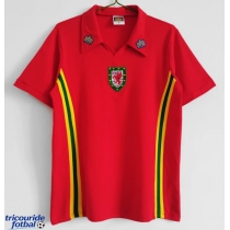 Echipament fotbal Țara Galilor 1976-1979 Tricou Retro Acasa maneca scurta