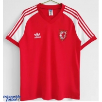 Echipament fotbal Țara Galilor 1980-1982 Tricou Retro Acasa maneca scurta