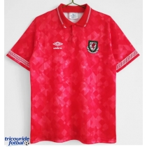 Echipament fotbal Țara Galilor 1990-1991 Tricou Retro Acasa maneca scurta