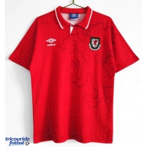 Echipament fotbal Țara Galilor 1992-1993 Tricou Retro Acasa maneca scurta