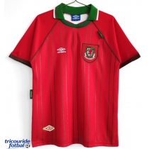 Echipament fotbal Țara Galilor 1994-1995 Tricou Retro Acasa maneca scurta